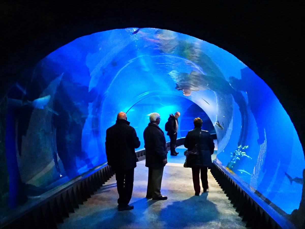 Wroclaw – Antiga Breslávia – 5&nbsp;dias